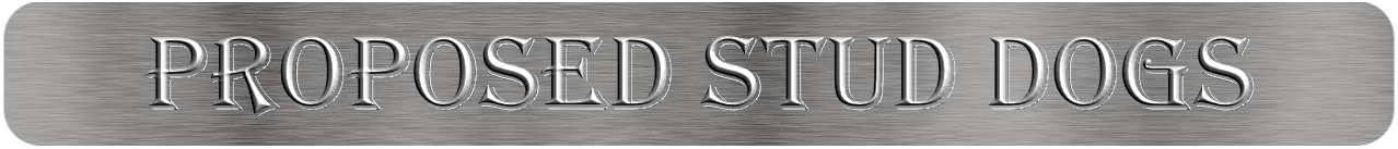 Proposed Cane Corso Stud Dogs