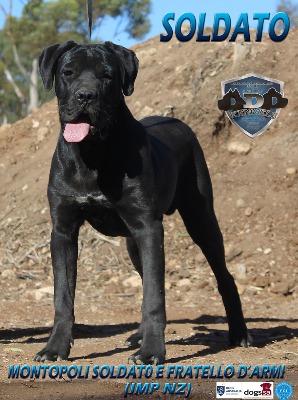 MONTOPOLI SOLDATA E FRATELLO D'ARMI (IMP NZ)