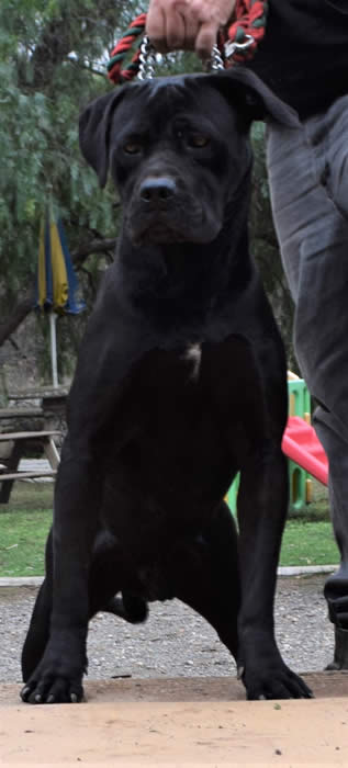 DDD Eredita Di Un Re