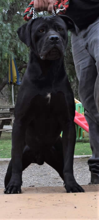 DDD Eredita Di Un Re