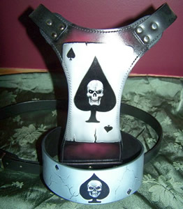 HARNESS  AND MATCHING COLLAR