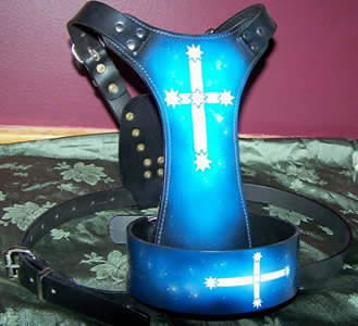 HARNESS  AND MATCHING COLLAR