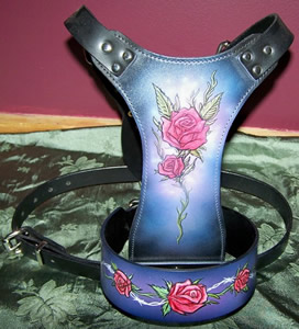 HARNESS  AND MATCHING COLLAR