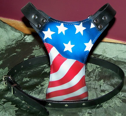 GENUINE BUFFALO HYDE LEATHER HARNESS WITH CUSTOM STARS/N/STRIPES DESIGN